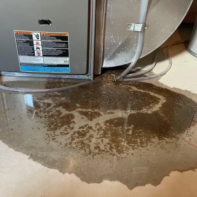 Appliance Leak Cleanup in Hart County, KY